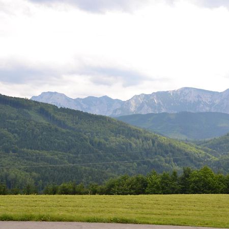 Gasthaus Schoeberingerhof Weyregg am Attersee Dış mekan fotoğraf