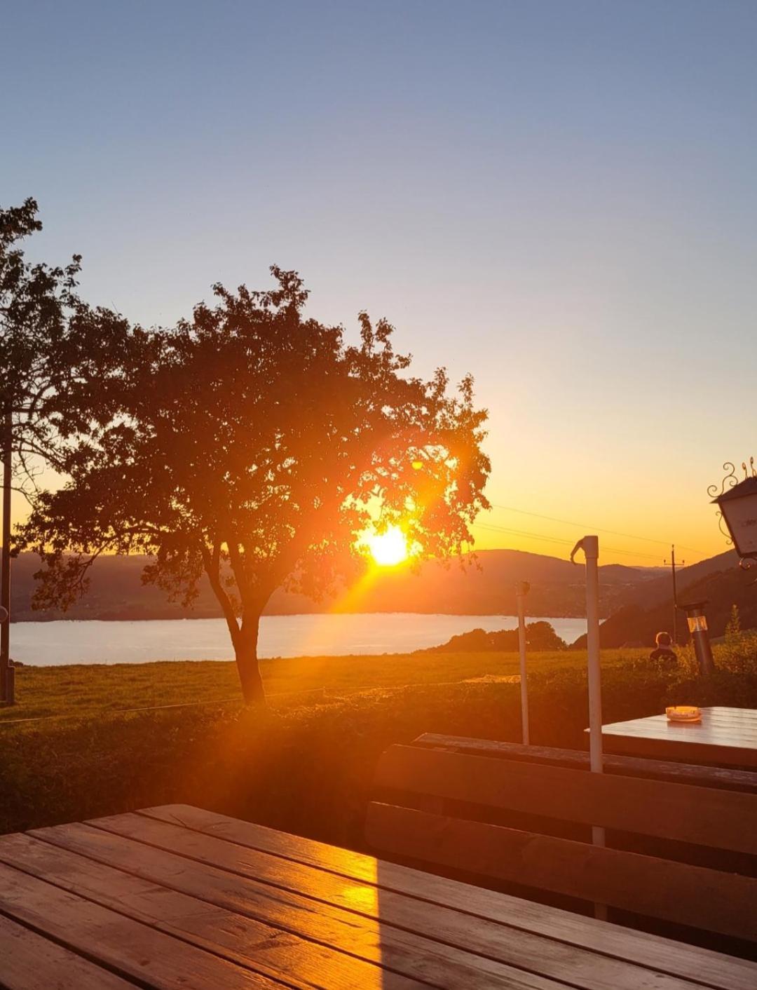 Gasthaus Schoeberingerhof Weyregg am Attersee Dış mekan fotoğraf